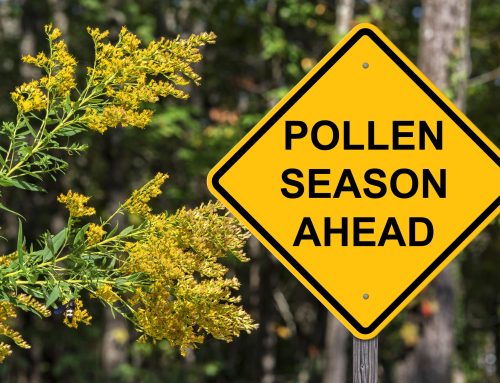 Spring Is Here, Along With Allergy Season